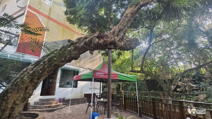 庭院休憩咖啡座