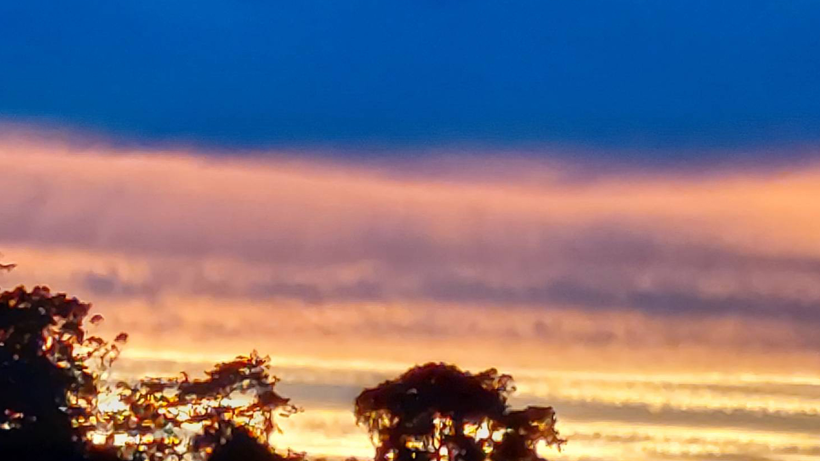 雲閒居民宿｜台中包棟 圖片